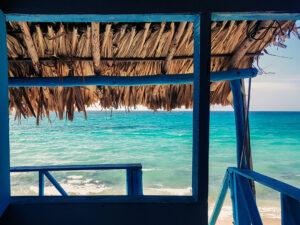 Propiedad en Sonsonate Centro: Vivamus enim libero, scelerisque quis augue vel, mattis venenatis eros 2