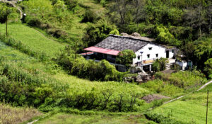 Propiedad en La Libertad Sur: ale 3 actualmente