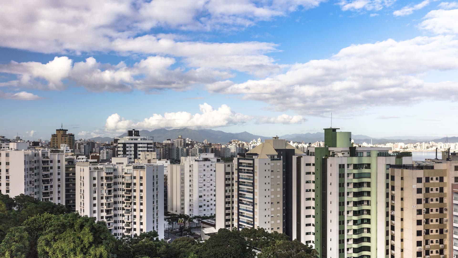 Sed sodales bibendum massa nec dapibus. Vestibulum ut justo sed massa finibus viverra